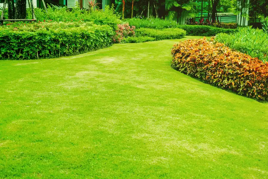 Landscaping Solutions
